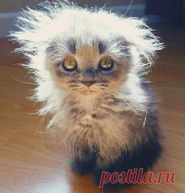 ПОДАРОК...смешной рассказ