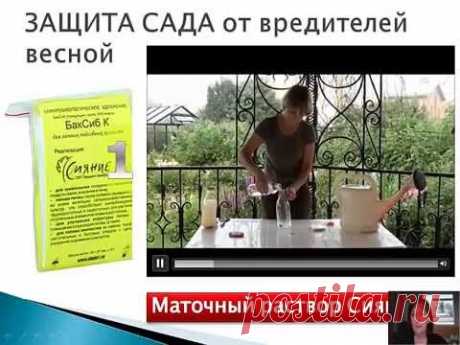 Весенние работы в саду и огороде 2015 - YouTube