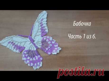 Бабочка Часть 1 из 6.