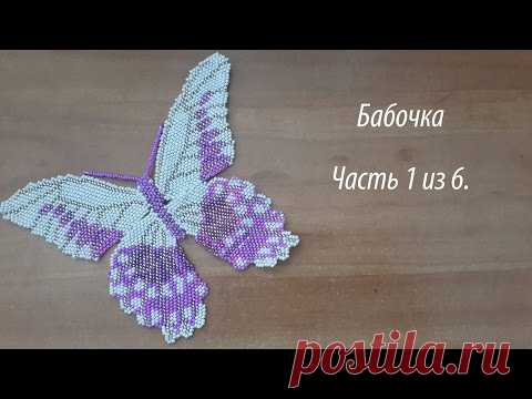 Бабочка Часть 1 из 6.