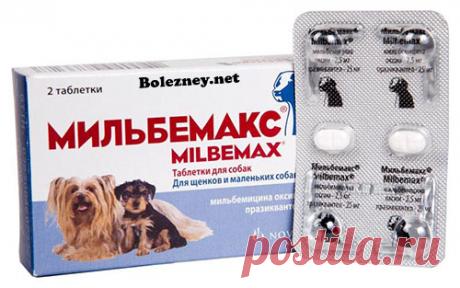 Таблетки от глистов Мильбемакс для собак. Инструкция, цена и отзывы Поражение собак гельминтами, это частое явление. Паразиты негативно воздействуют на важные органы и заполняют токсинами организм собаки, вызывая воспалительные процессы. Для устранения проблемы применяют Мильбемакс, который комплексно действует на глистов, вызывая их гибель. Это препарат, выпускаемый компанией «Новартис».