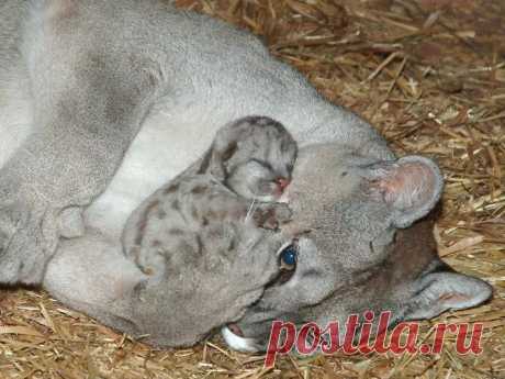 страницы которые создавались константина валерьевича сосницкого краснодар: 10 тыс изображений найдено в Яндекс.Картинках