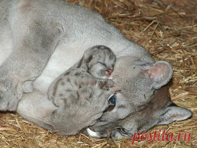 страницы которые создавались константина валерьевича сосницкого краснодар: 10 тыс изображений найдено в Яндекс.Картинках