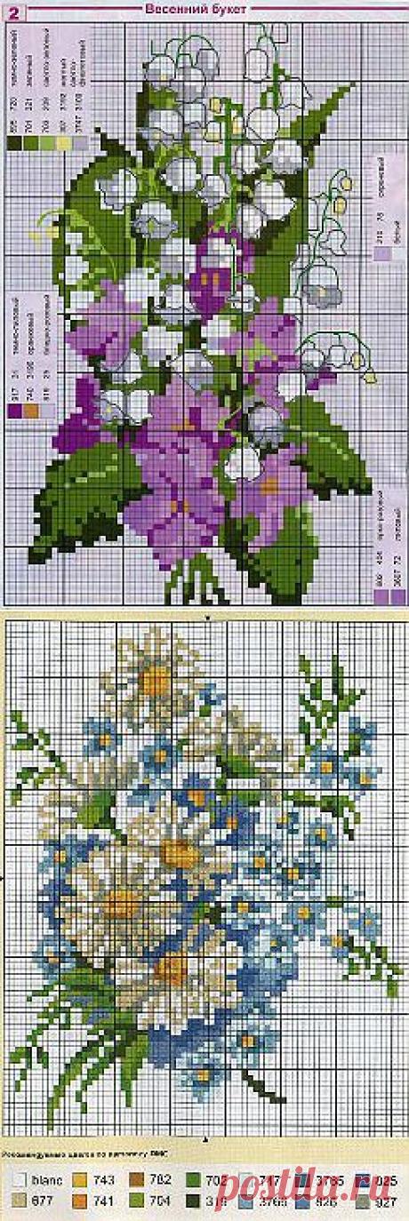 (15) Одноклассники