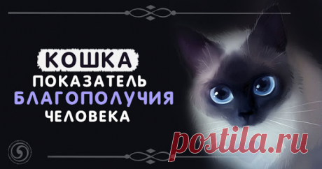 Кошка - показатель благополучия человека - Эзотерика и самопознание
