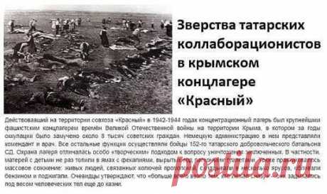 ЕСЛИ БЫ ИОСИФ СТАЛИН ПРЕДУСМОТРИТЕЛЬНО НЕ ВЫСЕЛИЛ ТАТАР С КРЫМА, ТО ПОСЛЕ БЕГСТВА ФАШИСТОВ С НИМИ БЫ ПОСТУПИЛИ ТАК ЖЕ, КАК В СВОЁ ВРЕМЯ ОДЕССИТЫ ЗА ДЕНЬ ДО ВОЗВРАЩЕНИЯ В ГОРОД НКВД: ПОРАЗВЕШИВАЛИ ЗА НОЧЬ НА СТОЛБАХ И ДЕРЕВЬЯХ