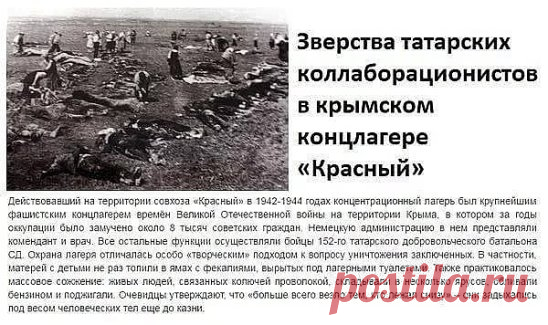 ЕСЛИ БЫ ИОСИФ СТАЛИН ПРЕДУСМОТРИТЕЛЬНО НЕ ВЫСЕЛИЛ ТАТАР С КРЫМА, ТО ПОСЛЕ БЕГСТВА ФАШИСТОВ С НИМИ БЫ ПОСТУПИЛИ ТАК ЖЕ, КАК В СВОЁ ВРЕМЯ ОДЕССИТЫ ЗА ДЕНЬ ДО ВОЗВРАЩЕНИЯ В ГОРОД НКВД: ПОРАЗВЕШИВАЛИ ЗА НОЧЬ НА СТОЛБАХ И ДЕРЕВЬЯХ
