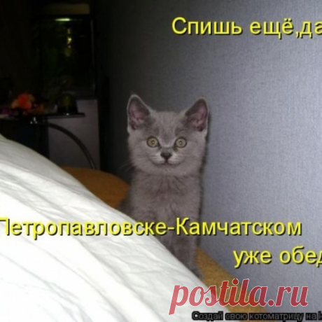 Котоматрицы великолепные, каждая с доброй улыбкой!!!