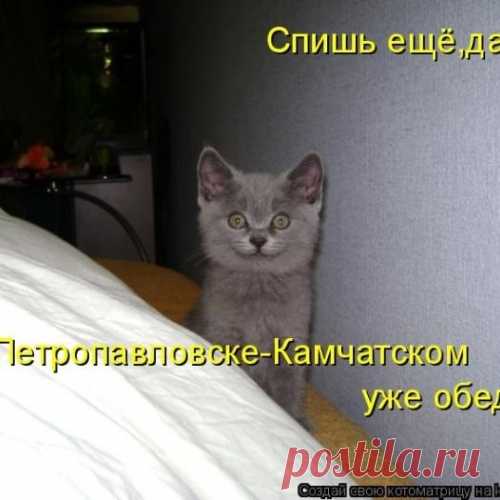 Котоматрицы великолепные, каждая с доброй улыбкой!!!