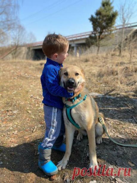 Барабулька ищет дом и любящую семью! — животные в дар | Птичка.ру