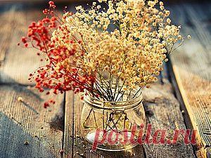 Сухоцветы: секреты технологии | Своими руками