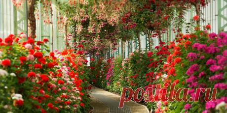 Самые необычные оранжереи мира | Культура | Селдон Новости