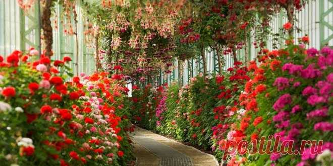 Самые необычные оранжереи мира | Культура | Селдон Новости