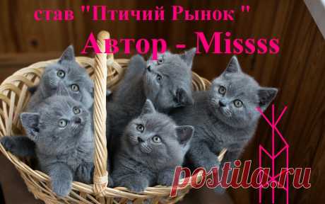 Став &quot;Птичий рынок&quot;