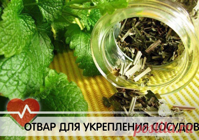 Интересные новости     Отвар трав для укрепления сосудов