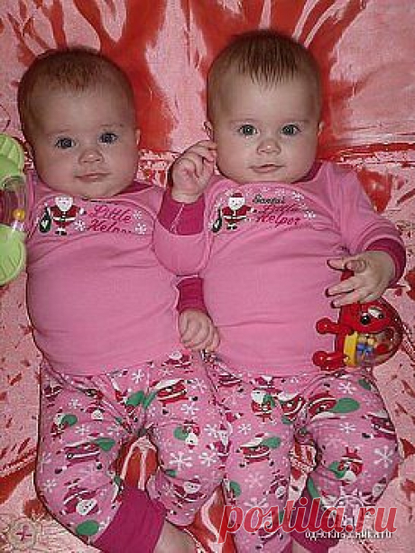 двое из ларца :)