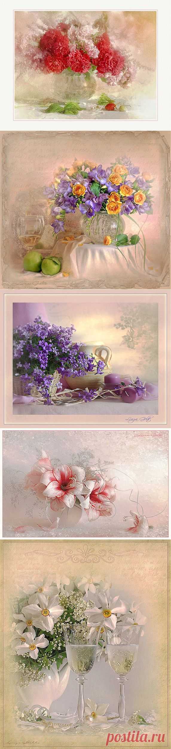 Luiza Gelts / Фотонатюрморты.