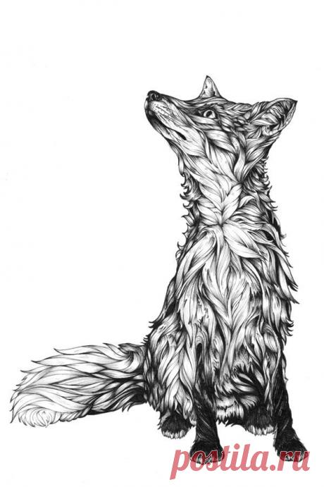 Зентангл (zentangle) - арт~картинки для творчества.