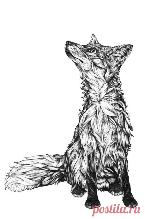 Зентангл (zentangle) - арт~картинки для творчества.