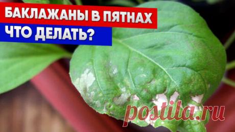 Статьи, новости и видео от популярных блогеров и СМИ | Будь в теме — будь в Дзене