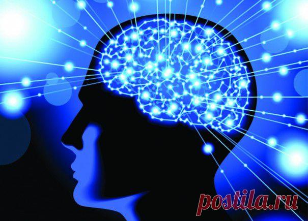 Применяем тактику Inbox Zero для мозга | Лайфхакер