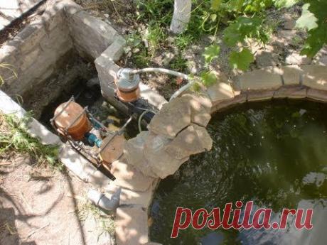 Самые интересные и полезные материалы об организации водоема / водоемы / 7dach.ru
