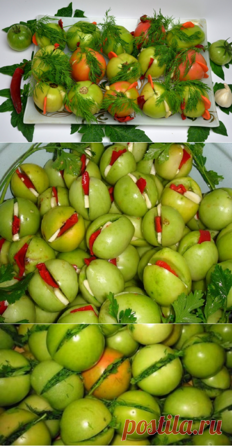 Фаршированные зеленые помидоры на зиму 