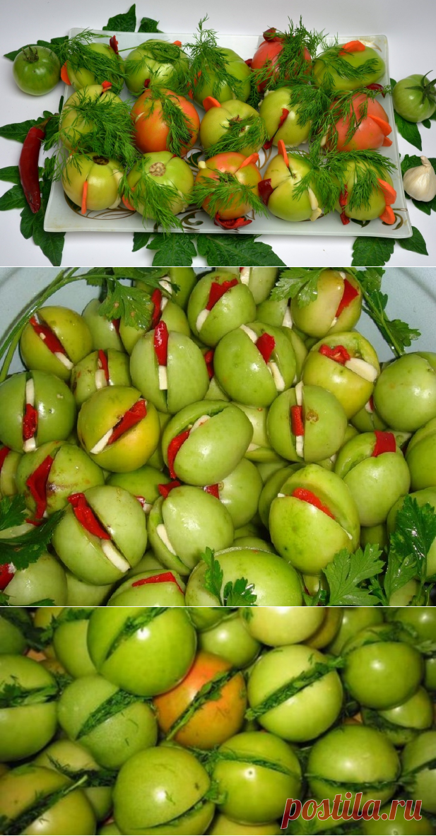 Фаршированные зеленые помидоры на зиму 