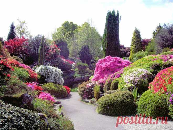 Leonardslee Gardens
