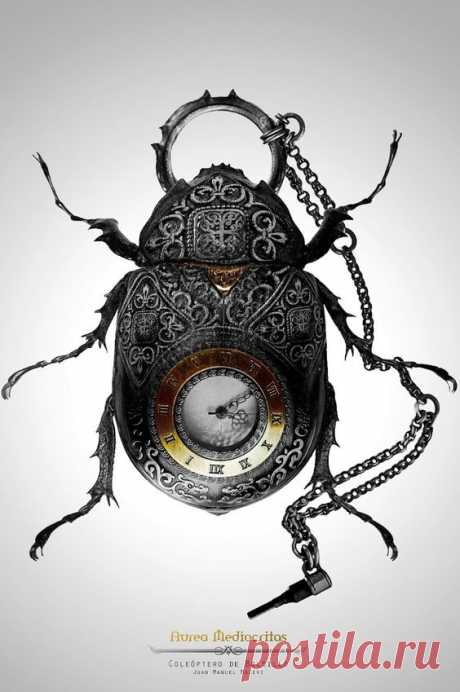 (1) Pinterest • Всемирный каталог идей