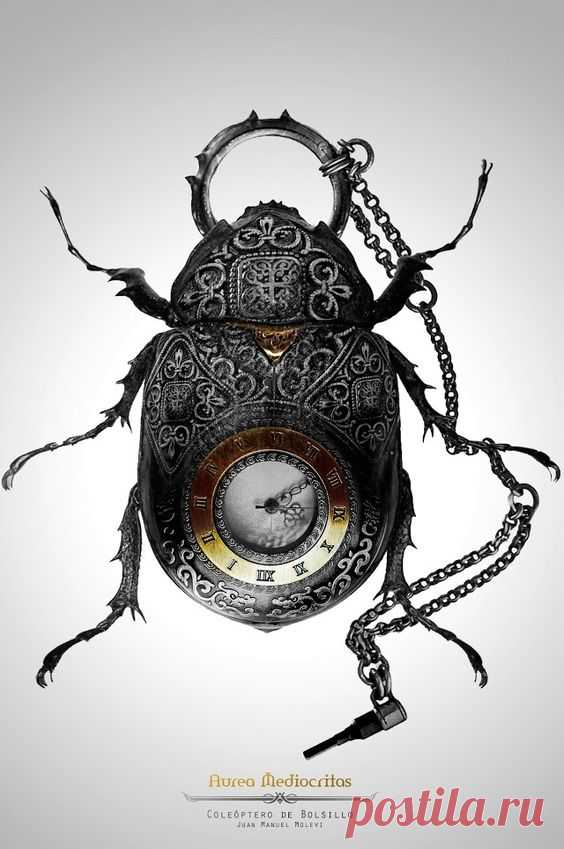 (1) Pinterest • Всемирный каталог идей
