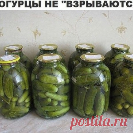ОГУРЦЫ НЕ ВЗРЫВАЮТСЯ!