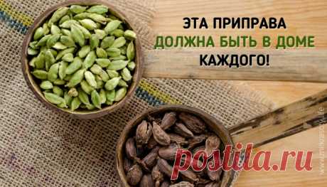 Пряность, дарующая ясный ум и долголетие - МирТесен