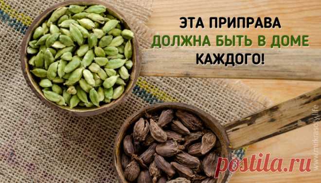 Пряность, дарующая ясный ум и долголетие - МирТесен