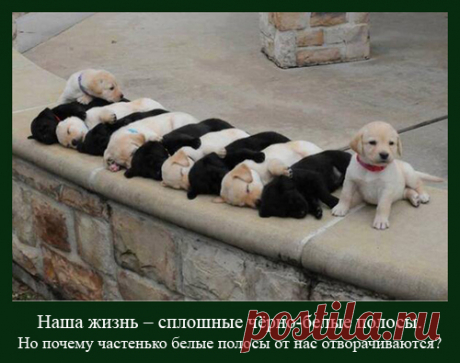 Персональный блог Ларисы Лапинь