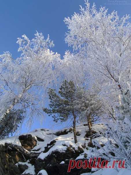 Зимняя сказка
#Среднеуральск #ОзероИсетское #Урал #rtgtv