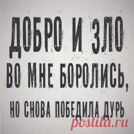 Новости