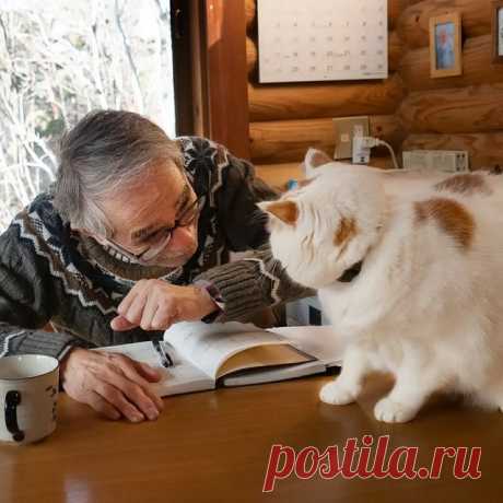 Photo by MARCO on October 22, 2021. May be an image of 1 person, cat and indoor.