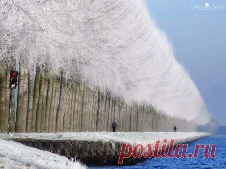 87-650x487.jpg (650×487)