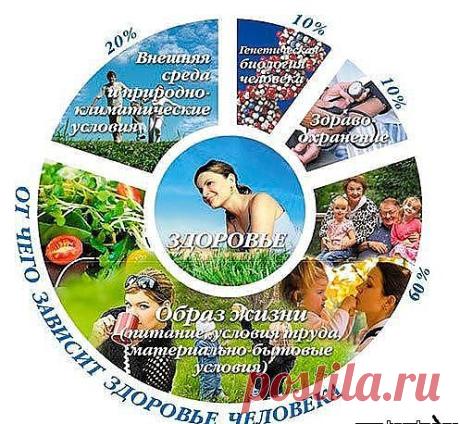 Здоровый образ жизни
