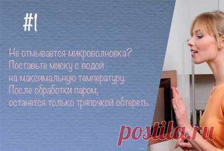 Советы на все случаи жизни / Домоседы