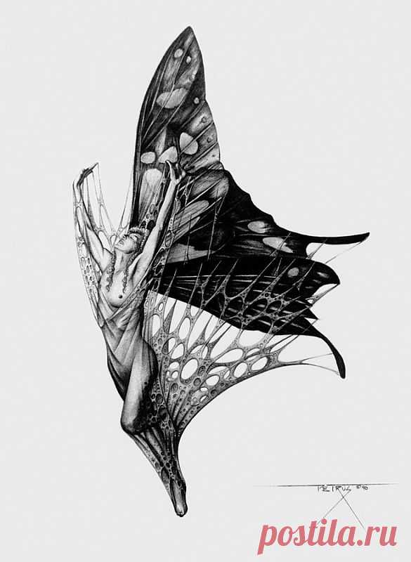 Бабочка.Petrush Boots