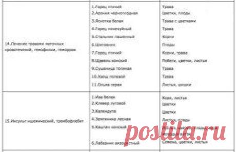 (6) Одноклассники