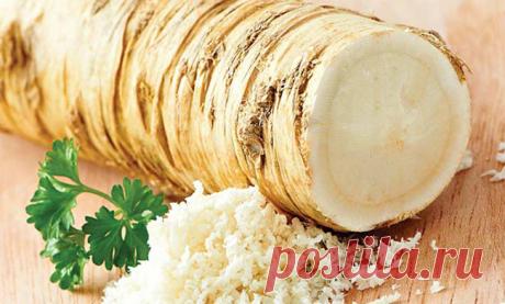 Средство для улучшения памяти и зрения - Женский Журнал Чем больше времени проходит, тем больше мы осознаем, что тело не обладает теми же свойствами, что и в предыдущие годы, то есть мы начали терять такие вещи, как эластичность и быстрое восстановление – два ключа молодости! Но, винить возраст, это совершенно неверно, потому что, если вы употребляете необходимые для функционирования питательные вещества, то таких ситуаций …