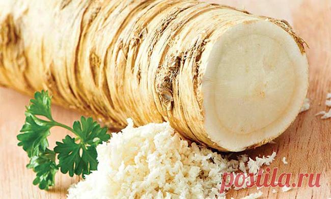 Средство для улучшения памяти и зрения - Женский Журнал Чем больше времени проходит, тем больше мы осознаем, что тело не обладает теми же свойствами, что и в предыдущие годы, то есть мы начали терять такие вещи, как эластичность и быстрое восстановление – два ключа молодости! Но, винить возраст, это совершенно неверно, потому что, если вы употребляете необходимые для функционирования питательные вещества, то таких ситуаций …