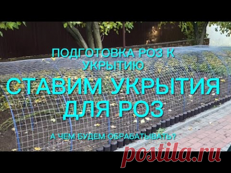 Розы. Ставим укрытия . Обрезка полным ходом. Ох и не легкое это дело. А что ещё…. 🌹🌹🌹