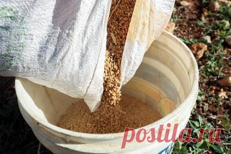 В России оценили медийный эффект поставок зерна в Африку. Поставки Россией зерна в Африку — это не только экономическая, но и идеологическая акция, рассказал заместитель руководителя Россотрудничества Павел Шевцов. По его словам, агентство максимально старается донести африканцам информацию о вкладе России в поддержку экономической и гуманитарной ситуации на континенте.