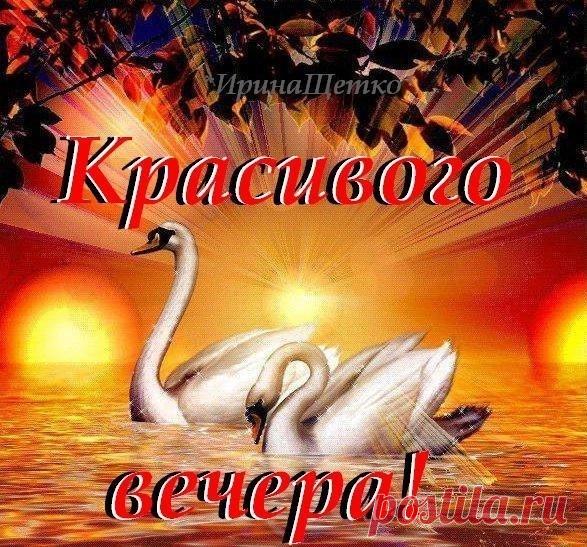 🌻КРУГОЗОР🌻