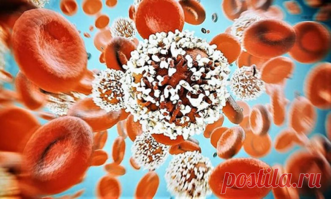 При этих заболеваниях полезна кетогенная диета Потребляя высококачественные жиры и диету с низким содержанием углеводов, вы достигаете пищевого кетоза; метаболического состояния, в котором ваше тело сжигает жир, а не глюкозу в качестве основного топлива.