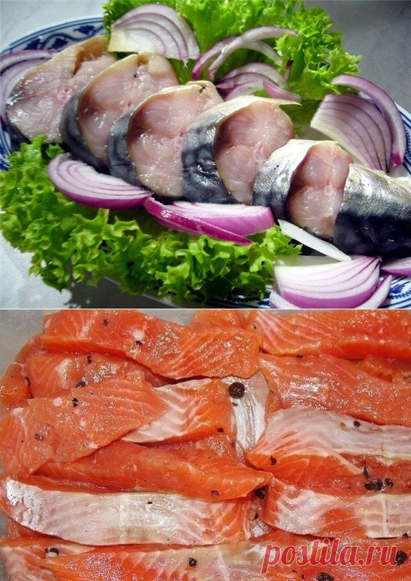 СОЛЁНАЯ, МАРИНОВАННАЯ, КОПЧЁНАЯ РЫБКА!